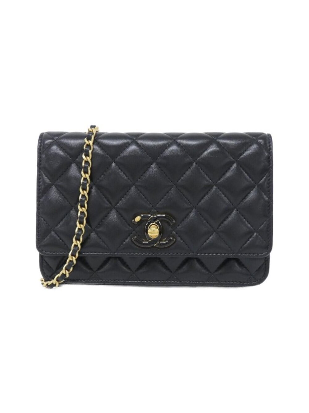 Chanel Chain Wallet Shoulder Bag
